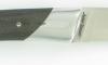 Compagnon Carbon Fiber 2